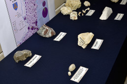 Colecție de roci în cadrul proiectului „Dobrogea - martor al civilizațiilor milenare ale Levantului”
